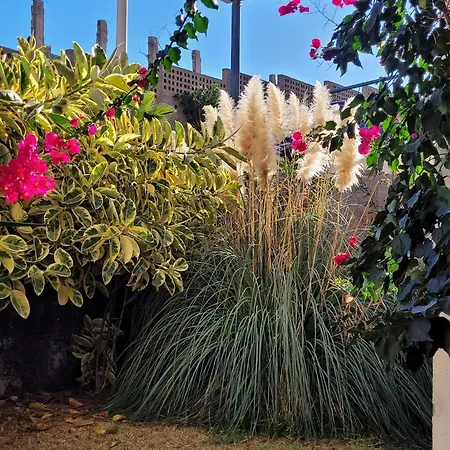 Top-rated Oasis: Spacious 1br With Bbq Garden * Callao Salvaje